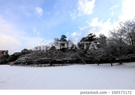 Kamigamo神社 Kamigamo神社 100573172