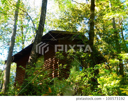 在森林裡的小屋 100573192