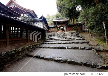Kamigamo Shrine 100573226