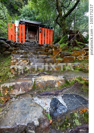Kamigamo神社 100573237