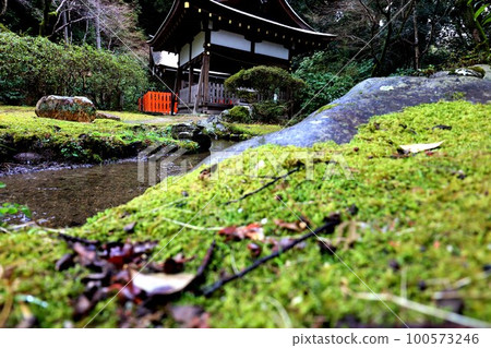 Kamigamo Shrine 100573246