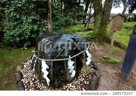 Kamigamo Shrine 100573247