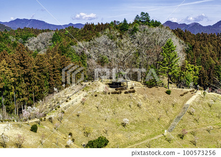 Yoshino Umekyo，東京青梅市梅花節的複興 100573256