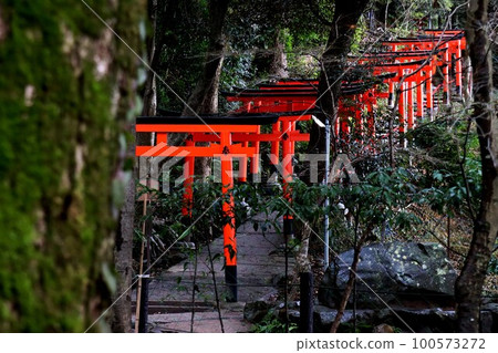 Kamigamo神社 100573272