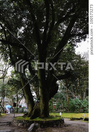 Kamigamo神社 Kamigamo神社 100573273