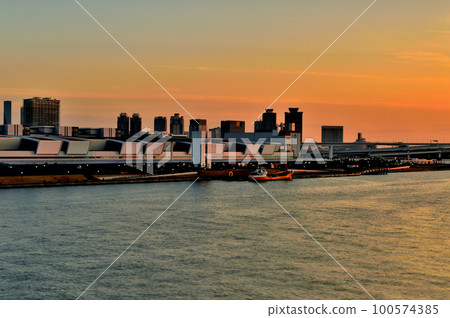 Scenery of Toyosu Market seen from Toyosu Ohashi Scenery of Toyosu Market seen from Toyosu Ohashi 100574385