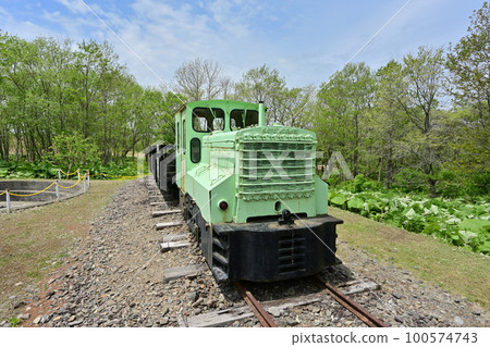 B type diesel locomotive B type diesel locomotive 100574743
