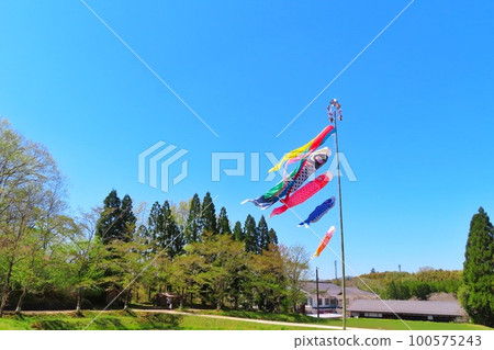 Koi swimming in blue sky Koi swimming in blue sky 100575243