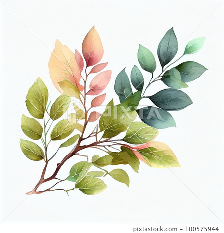 Watercolor twigs and leaves on white background Watercolor twigs and leaves on white background 100575944