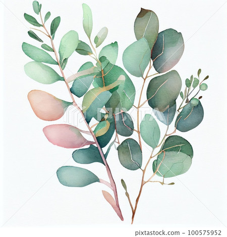 Watercolor twigs and leaves on white background Watercolor twigs and leaves on white background 100575952