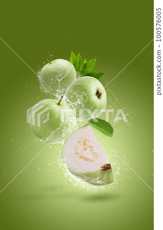 Water splashing on Guava fruit isolated on a green background Water splashing on Guava fruit isolated on a green background 100576005