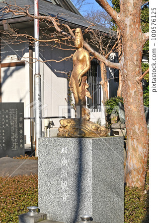 川口散步:西光院真言宗豐山學校魚蘭觀音三十三觀音川口市 川口散步:西光院真言宗豐山學校魚蘭觀音三十三觀音川口市 100576125
