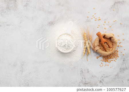 Wheat grains and white wheat flour in measure bowl set up on white concrete background. 100577627
