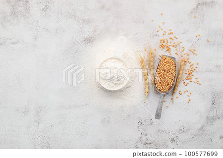 Wheat grains and white wheat flour in measure bowl set up on white concrete background. Wheat grains and white wheat flour in measure bowl set up on white concrete background. 100577699