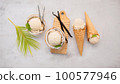 Coconut ice cream flavours in half of coconut setup on white stone background. Summer and Sweet menu concept. 100577946