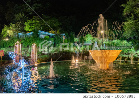 Hanamaki Onsen Rose Garden Illuminated Lover's Sanctuary (Hanamaki City, Iwate Prefecture) 100578995