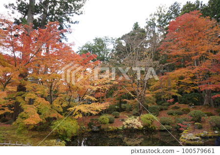 Autumn leaves of Matsushima yen visit 100579661