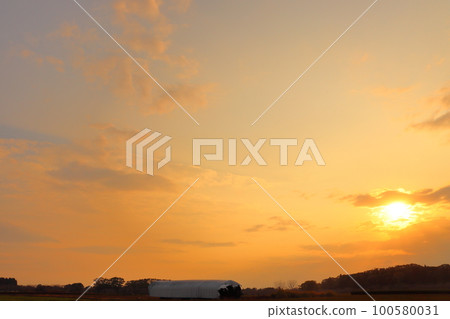日落天空，雲彩，日落，農田，森林 100580031