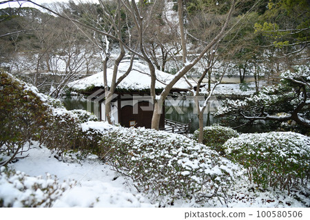 Momijidani Valley (Wakayama Castle Nishinomaru Garden) [Wakayama City, Wakayama Prefecture] 100580506