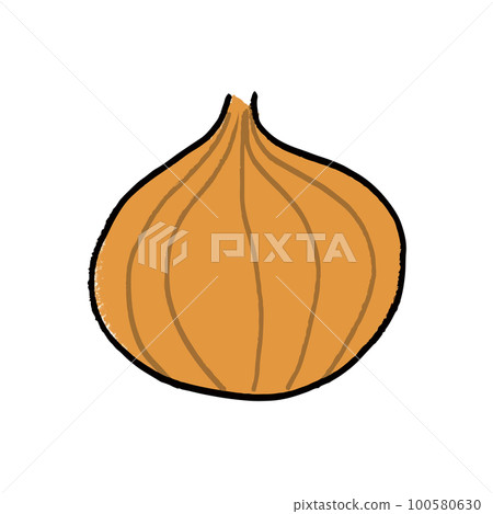 洋蔥的插圖素材 100580630