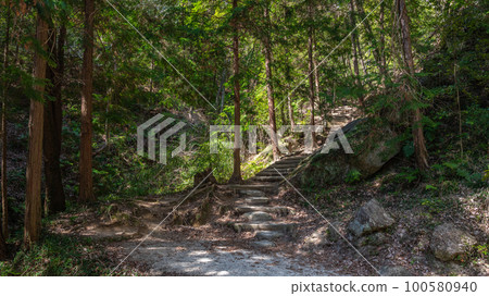 從星田園地岩洞小屋到星際鞦韆博肯之道的小路 100580940