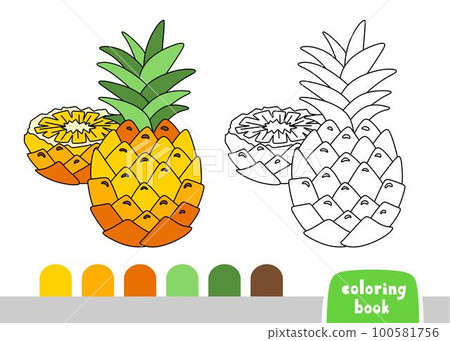 Coloring Book for Kids Pineapple Page for books Magazines Coloring Vector Illustration Coloring Book for Kids Pineapple Page for books Magazines Coloring Vector Illustration 100581756
