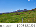 Jersey cow and Oyama 100583154
