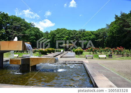 我去了井頭公園#4 我去了井頭公園#4 100583328
