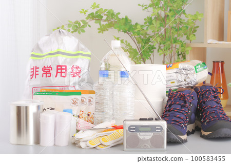 disaster evacuation set 100583455