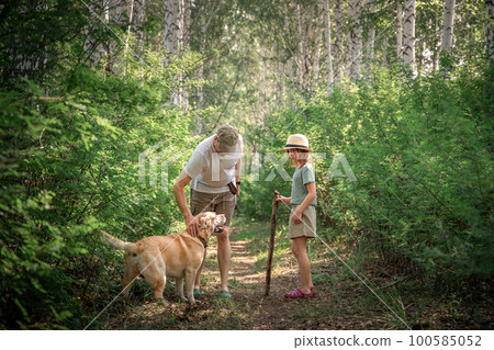 a daughter with a dad and a Labrador dog walk along a forest path in the summer a daughter with a dad and a Labrador dog walk along a forest path in the summer 100585052