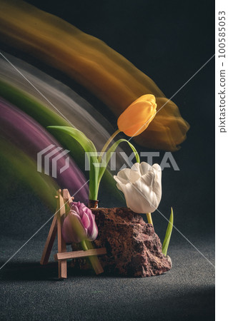 concept spring. freakebana. three multi-colored tulips. motion blur concept spring. freakebana. three multi-colored tulips. motion blur 100585053