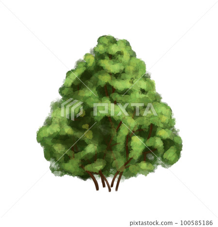 A large green bush with leaves for the garden, forest, landscape. From the farmer's collection A large green bush with leaves for the garden, forest, landscape. From the farmer's collection 100585186