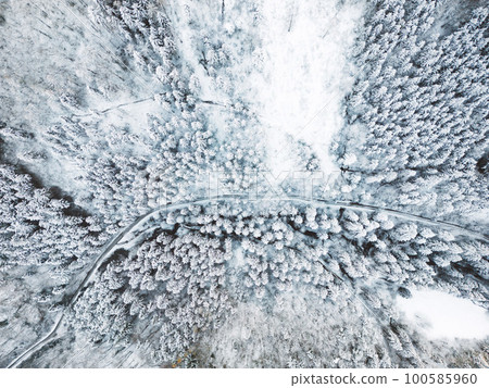 Top down view of an empty road trough snowy winter forest Top down view of an empty road trough snowy winter forest 100585960