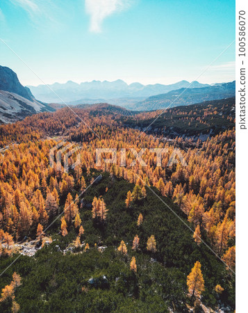 Vertical photo of mountain forest in autumn colors on the land of Triglav national park Vertical photo of mountain forest in autumn colors on the land of Triglav national park 100586070