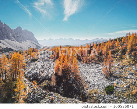 Dramatic views of red trees on rocky grounds somewhere in the Triglav national park Dramatic views of red trees on rocky grounds somewhere in the Triglav national park 100586071