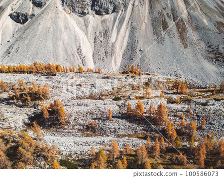 Scree slopes down the mountain tops and occasional orange trees on the ground  100586073