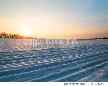Sunny sunset over a snowy agricultural field in winter. Sunny sunset over a snowy agricultural field in winter. 100586259