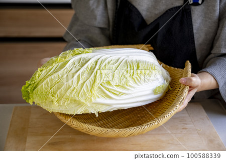 大白菜 食物 食品 100588339