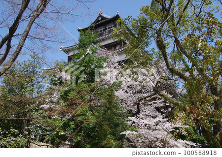 廣島城櫻花要塞 廣島城櫻花要塞 100588918