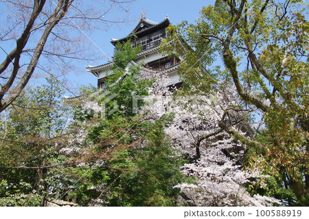 廣島城櫻花要塞 廣島城櫻花要塞 100588919