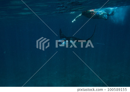 snorkeling with manta rays 100589155