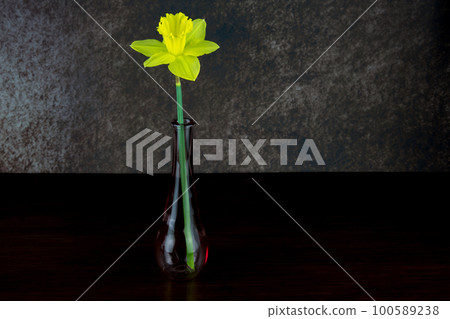 Glass Single Flower Vase with Single Daffodil Flower on a Wooden Table Top Glass Single Flower Vase with Single Daffodil Flower on a Wooden Table Top 100589238