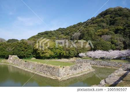 萩城護城河和櫻花 萩城護城河和櫻花 100590507