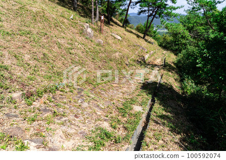 [Japan's Top 100 Castles] Kinojo, Kagoishi-shaped Stones 2, Soja City, Okayama Prefecture 100592074
