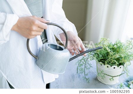 raindrops and women 100592295