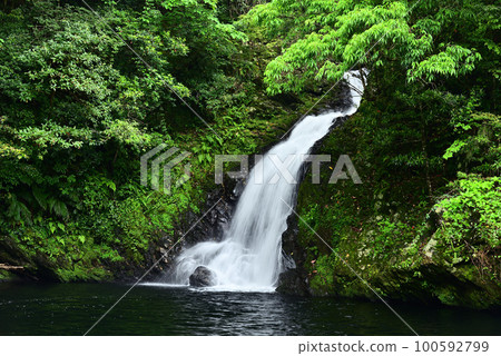Amami Oshima Landscape ~Materia Falls~ 100592799