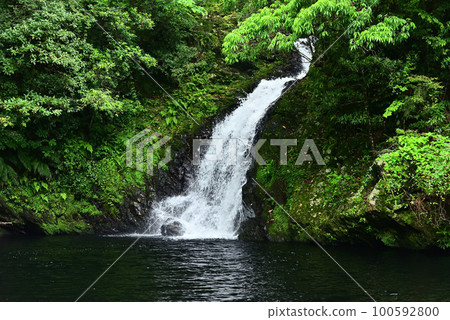 Amami Oshima Landscape ~Materia Falls~ 100592800