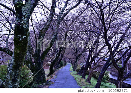 公園路 100592871