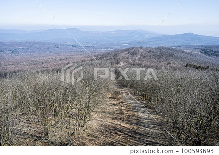 Little Carpathians scenery from Velka Homola hill, Slovakia 100593693