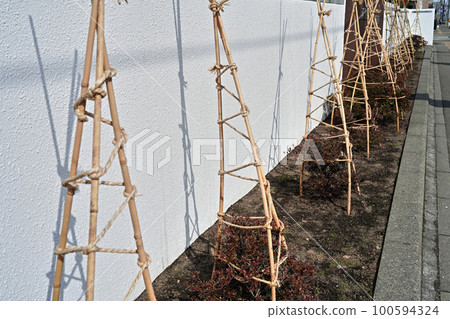 Snow covered 100594324